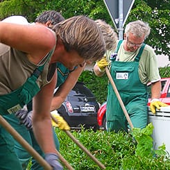 Dienstleistungen Mieter